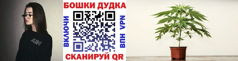Цена Новокузнецк Псилоцибиновые грибы АМФ Конопля Гашиш КЕТАМИН СК