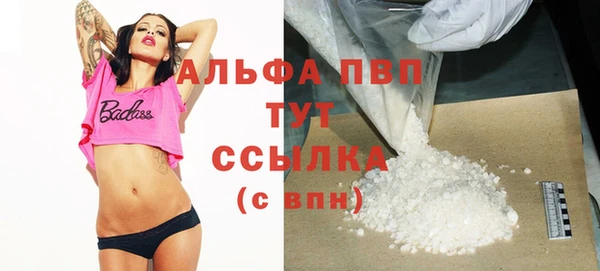 стаф Корсаков