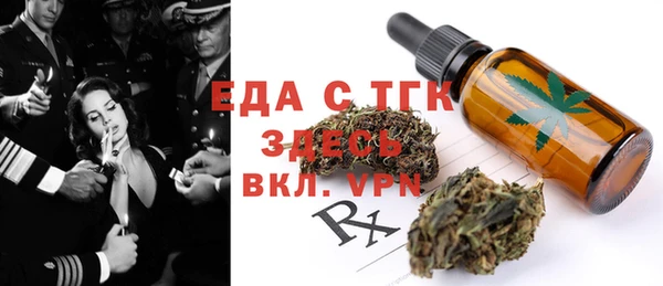 стаф Корсаков