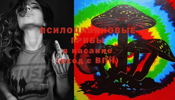 прущая мука Коряжма