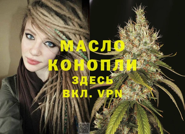 стаф Корсаков