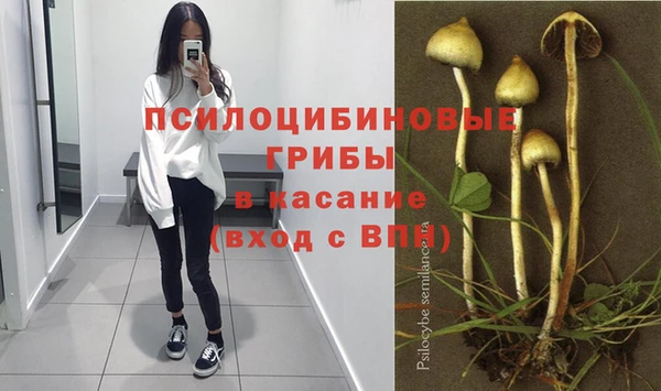 прущая мука Коряжма