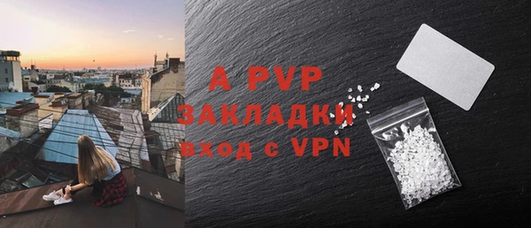 стаф Корсаков