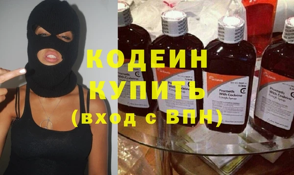 стаф Корсаков