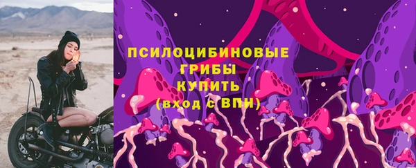 прущая мука Коряжма