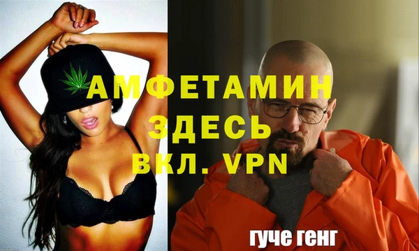 стаф Корсаков