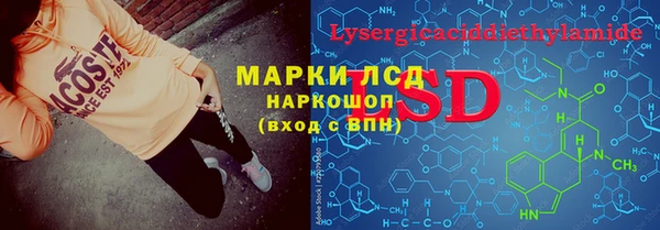 стаф Корсаков