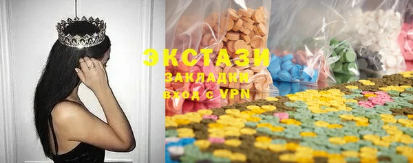 стаф Корсаков