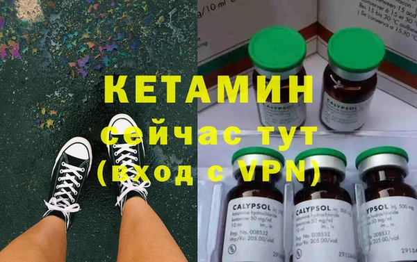 стаф Корсаков