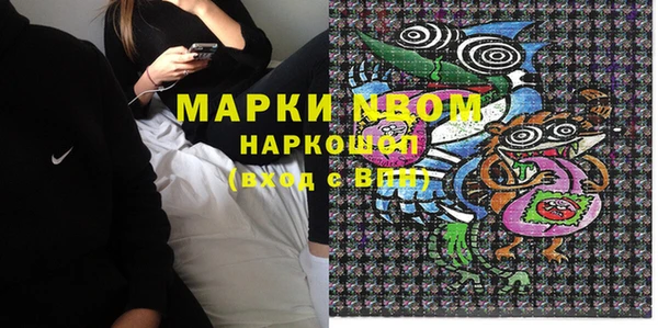 стаф Корсаков