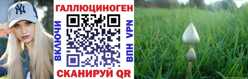 купить наркотики цена Новокузнецк Галлюциногенные грибы мицелий